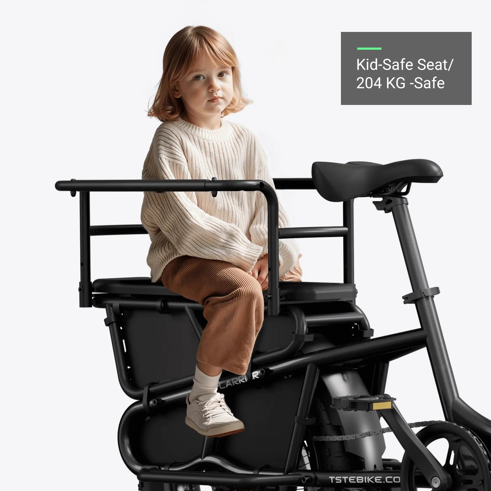 TST® Carrier 20'' Cargo Electric Bike