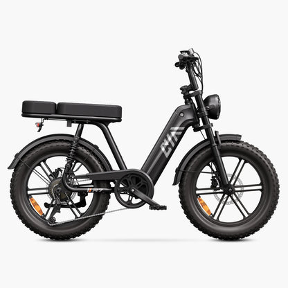 Vélo cargo électrique tout suspendu TST® R7 style cyclomoteur 250 W | Nouveau modèle 2026