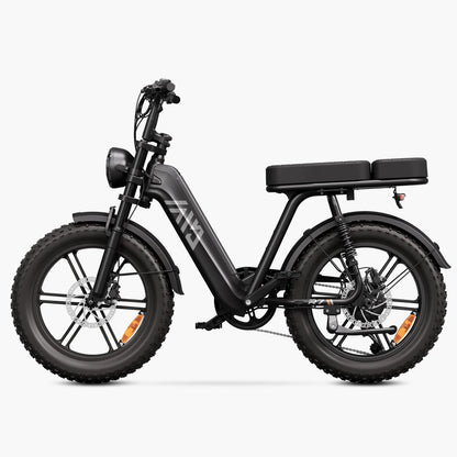 Vélo cargo électrique tout suspendu TST® R7 style cyclomoteur 250 W | Nouveau modèle 2026