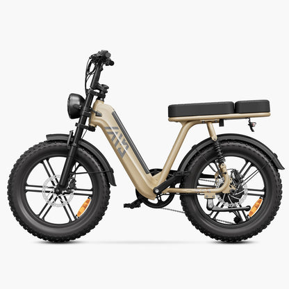Vélo cargo électrique tout suspendu TST® R7 style cyclomoteur 250 W | Nouveau modèle 2026