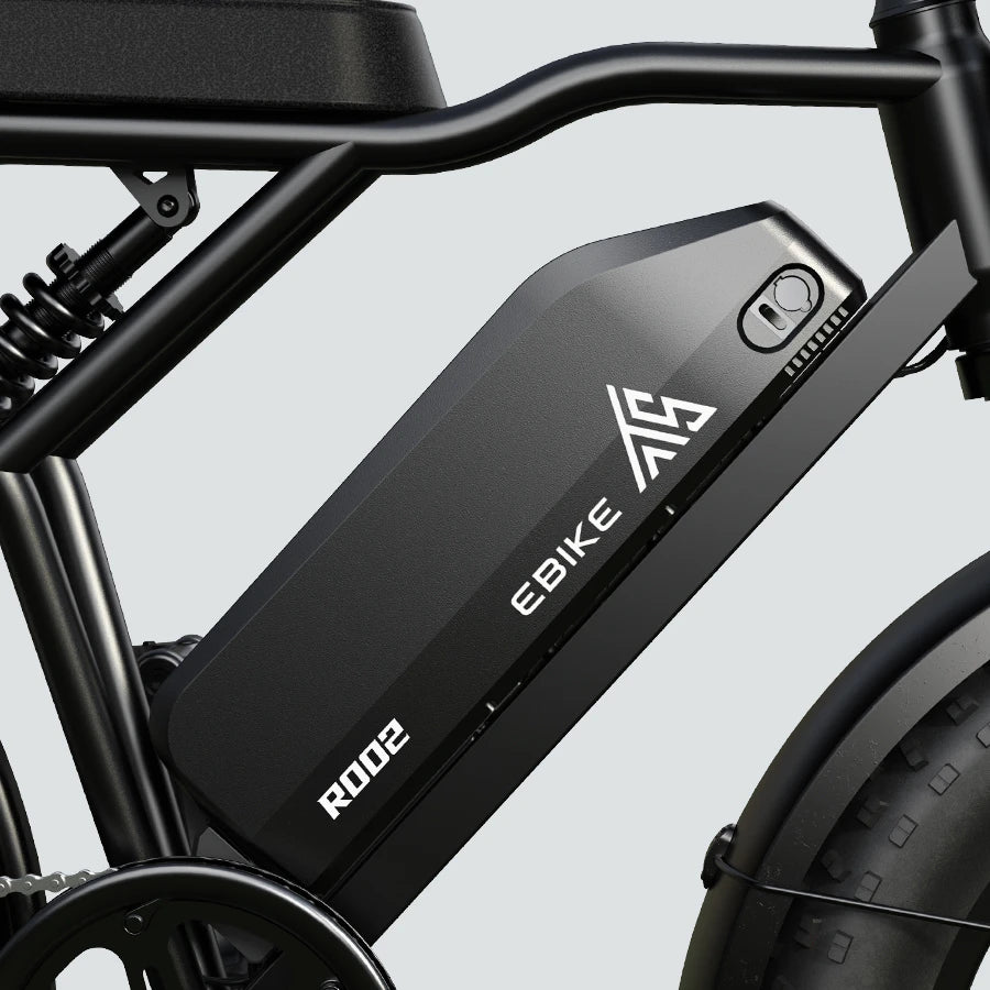 Custom Tst R002 TST® R002 20'' 250W Full Suspension Moped-style Electric Bike – TST-EU