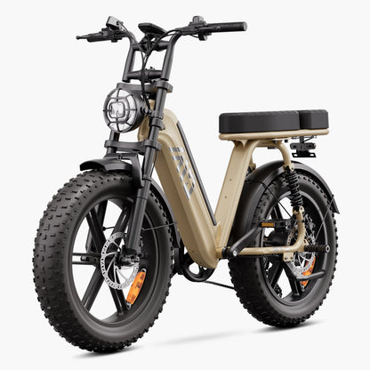 Vélo cargo électrique tout suspendu TST® R7 style cyclomoteur 250 W | Nouveau modèle 2026