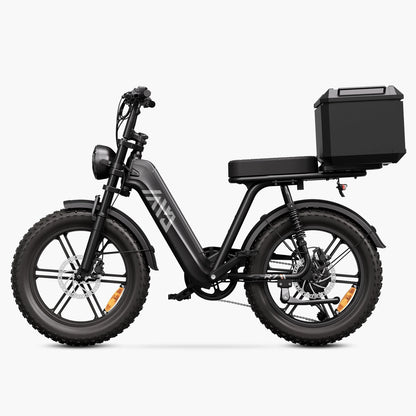 Vélo cargo électrique tout suspendu TST® R7 style cyclomoteur 250 W | Nouveau modèle 2026
