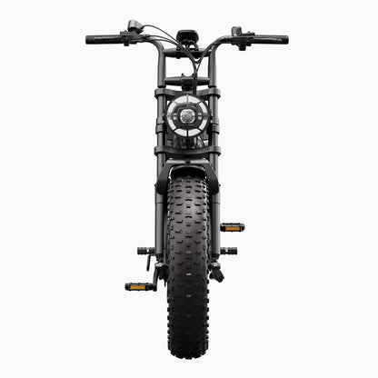 Vélo cargo électrique tout suspendu TST® R7 style cyclomoteur 250 W | Nouveau modèle 2026