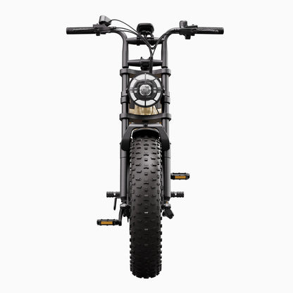 Vélo cargo électrique tout suspendu TST® R7 style cyclomoteur 250 W | Nouveau modèle 2026