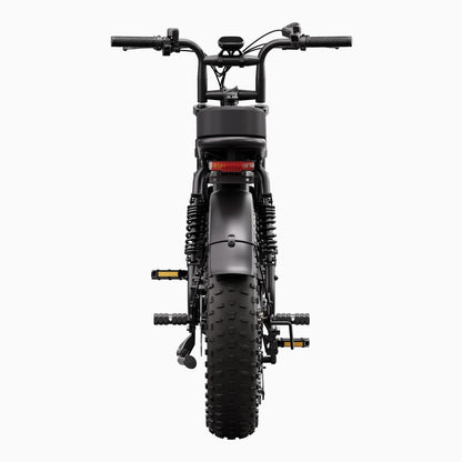 Vélo cargo électrique tout suspendu TST® R7 style cyclomoteur 250 W | Nouveau modèle 2026