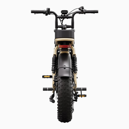 Vélo cargo électrique tout suspendu TST® R7 style cyclomoteur 250 W | Nouveau modèle 2026