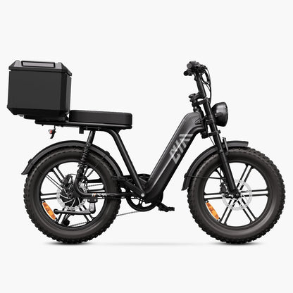 Vélo cargo électrique tout suspendu TST® R7 style cyclomoteur 250 W | Nouveau modèle 2026