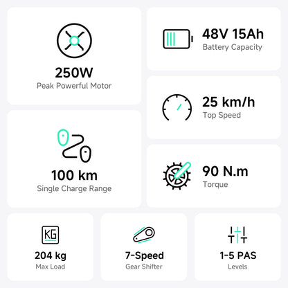 TST® Carrier 20'' Cargo Electric Bike