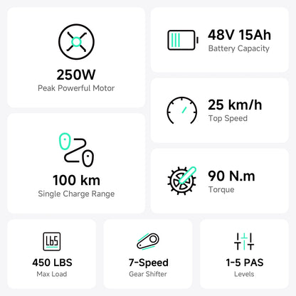 Vélo cargo électrique TST® Carrier 20''
