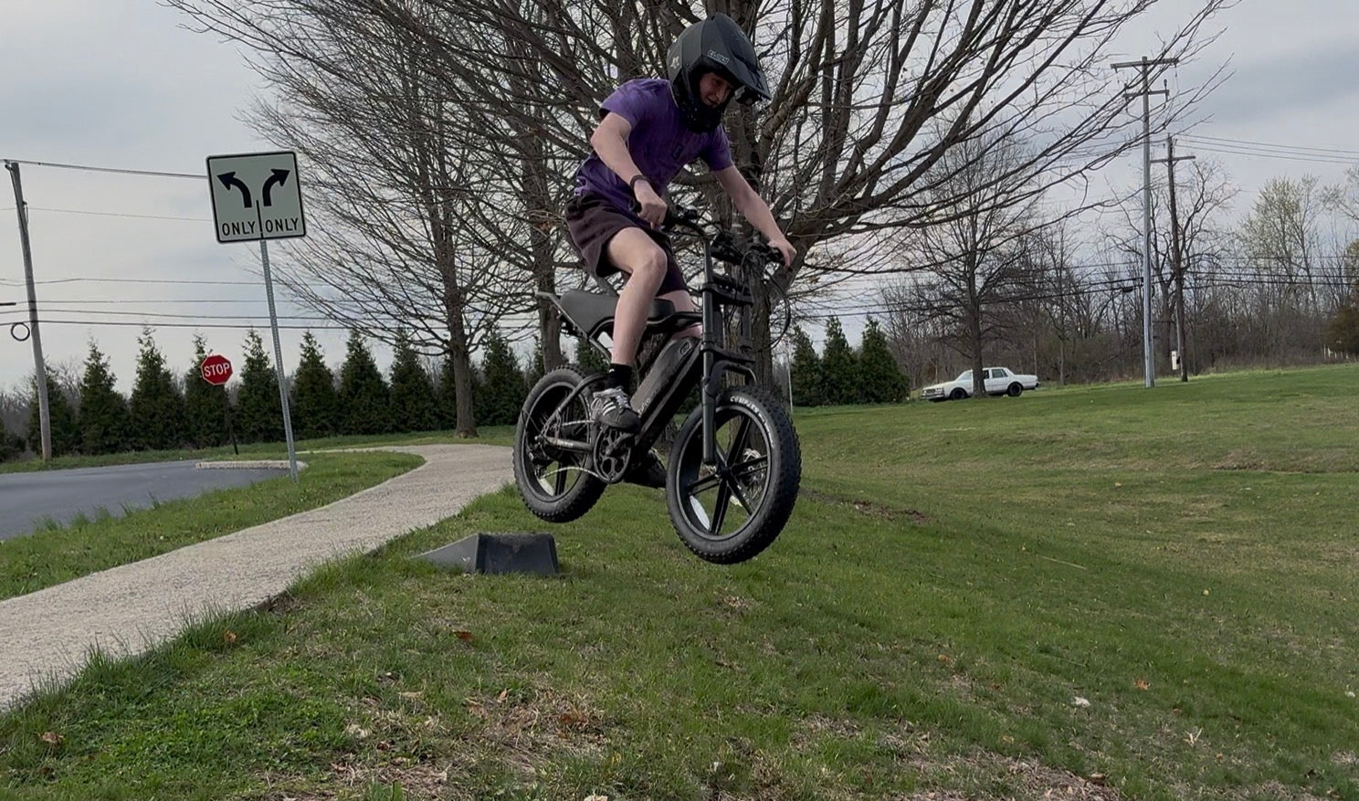 TST® R002 20'' 250W Full Suspension Moped-style Electric Bike