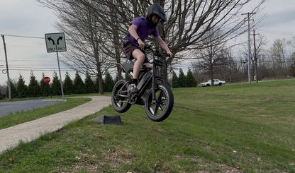 TST® R002 20'' 250W Full Suspension Moped-style Electric Bike