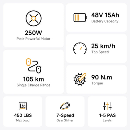 Vélo cargo électrique tout suspendu TST® R7 style cyclomoteur 250 W | Nouveau modèle 2026