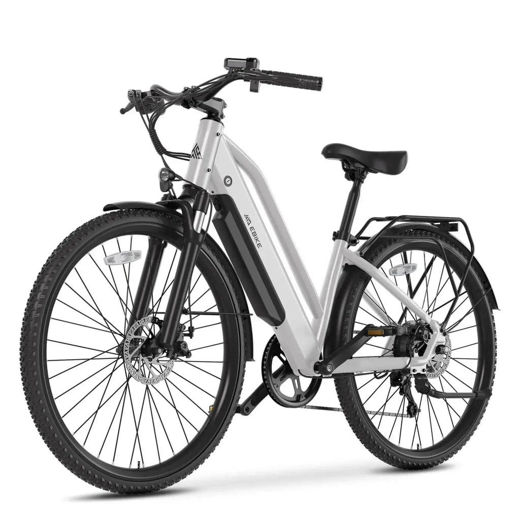 TSTC62426_CityEbikeForAdult