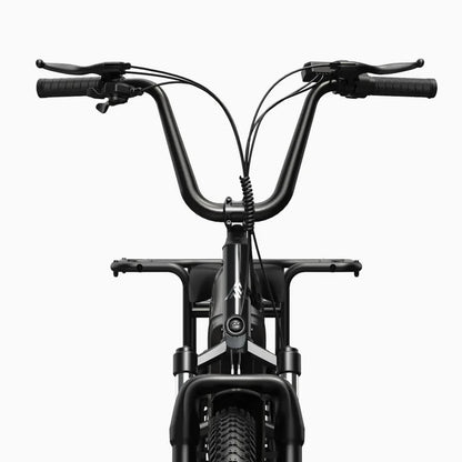 Vélo cargo électrique TST® Carrier 20''