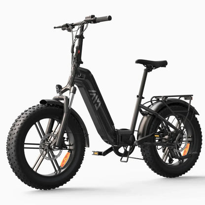 TST® Buddy Pro 20''  Folding Ebike