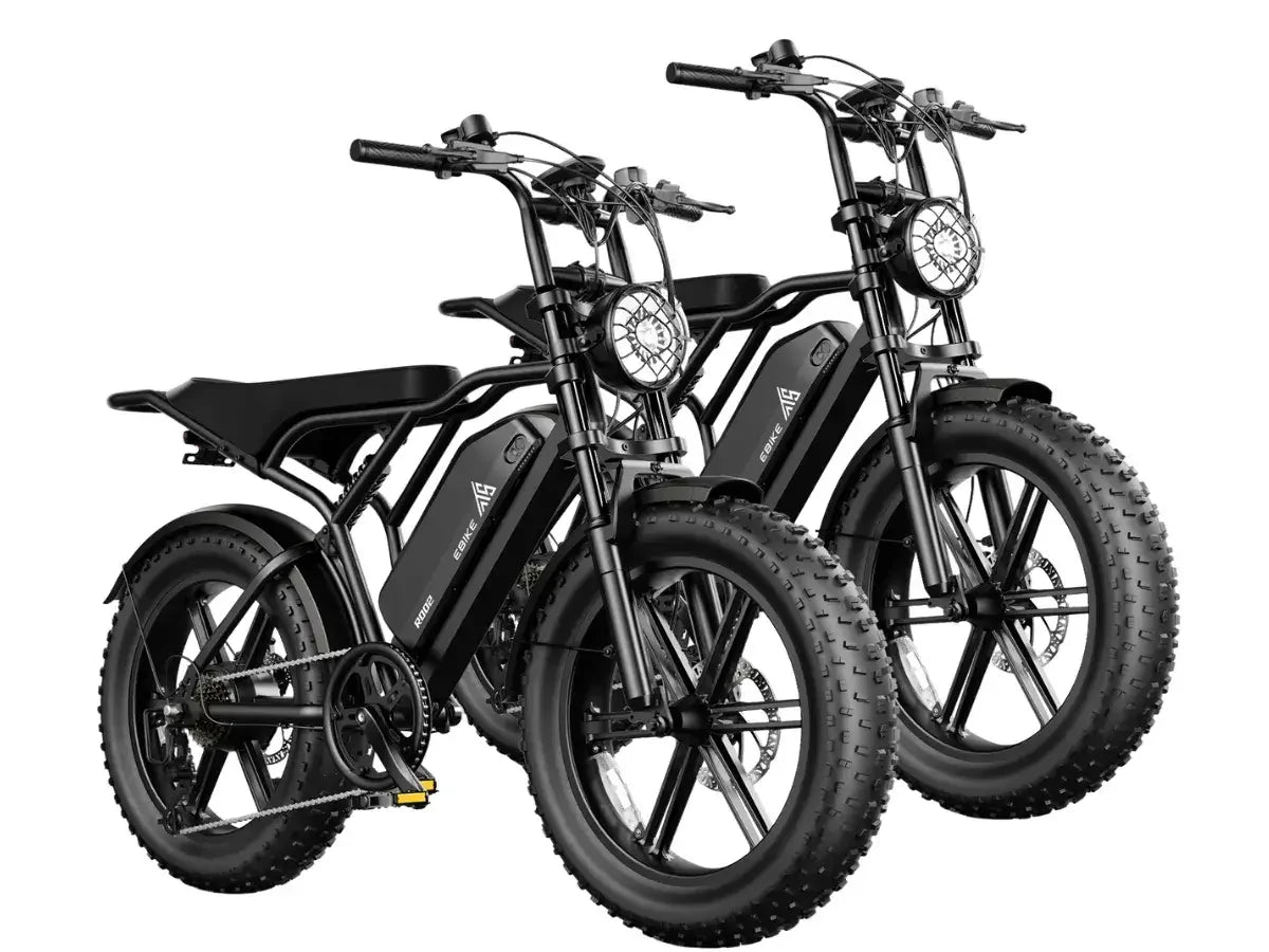 TST® Combo Sale R002 20" Full Suspension Moped-Style Ebike