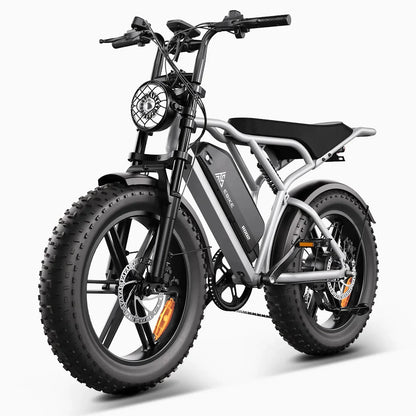 TST® R002 20'' 250W Full Suspension Moped-style Electric Bike