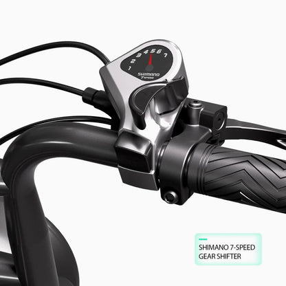 TST® R002 20'' 250W Full Suspension Moped-style Electric Bike