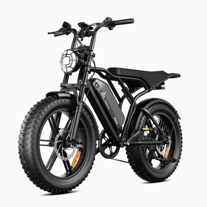TST® R002 20'' 250W Full Suspension Moped-style Electric Bike