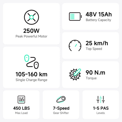 TST® R002 20'' 250W Full Suspension Moped-style Electric Bike