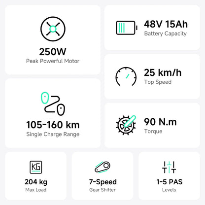 TST® R002 20'' 250W Full Suspension Moped-style Electric Bike