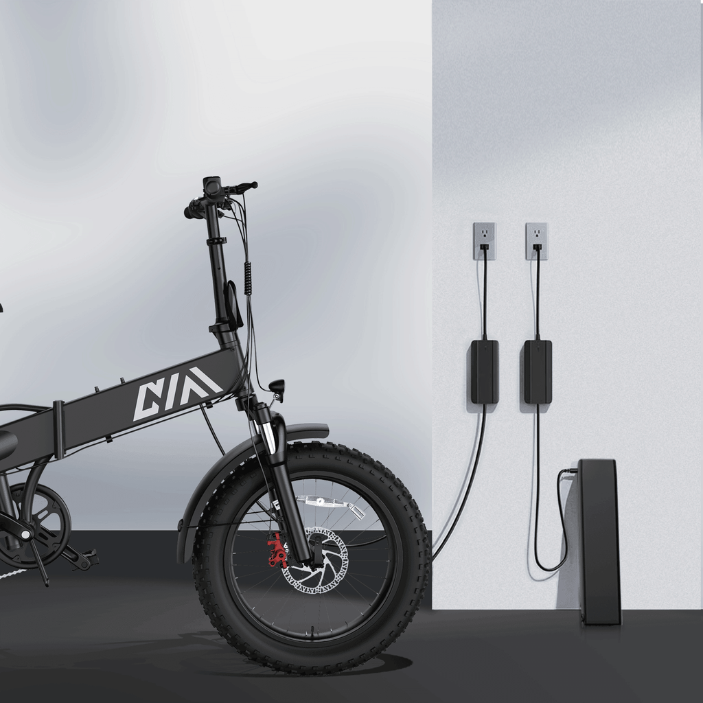 TST® Buddy 20'' Folding Ebike - TST Ebike